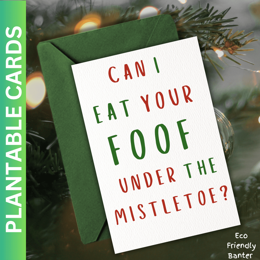 Can I Eat your Foof Under the Mistletoe
