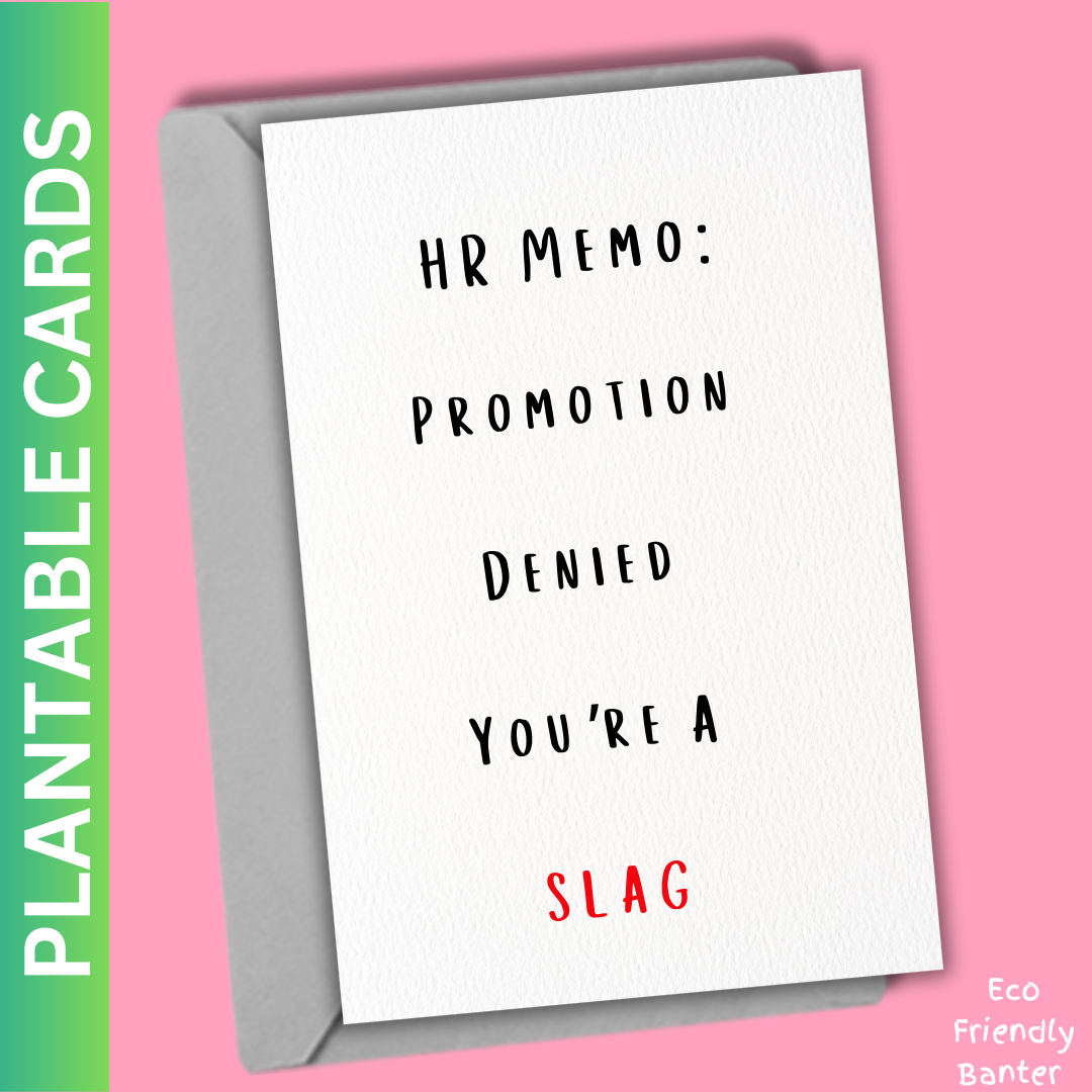 HR Memo Promotion Denied You're A SLAG