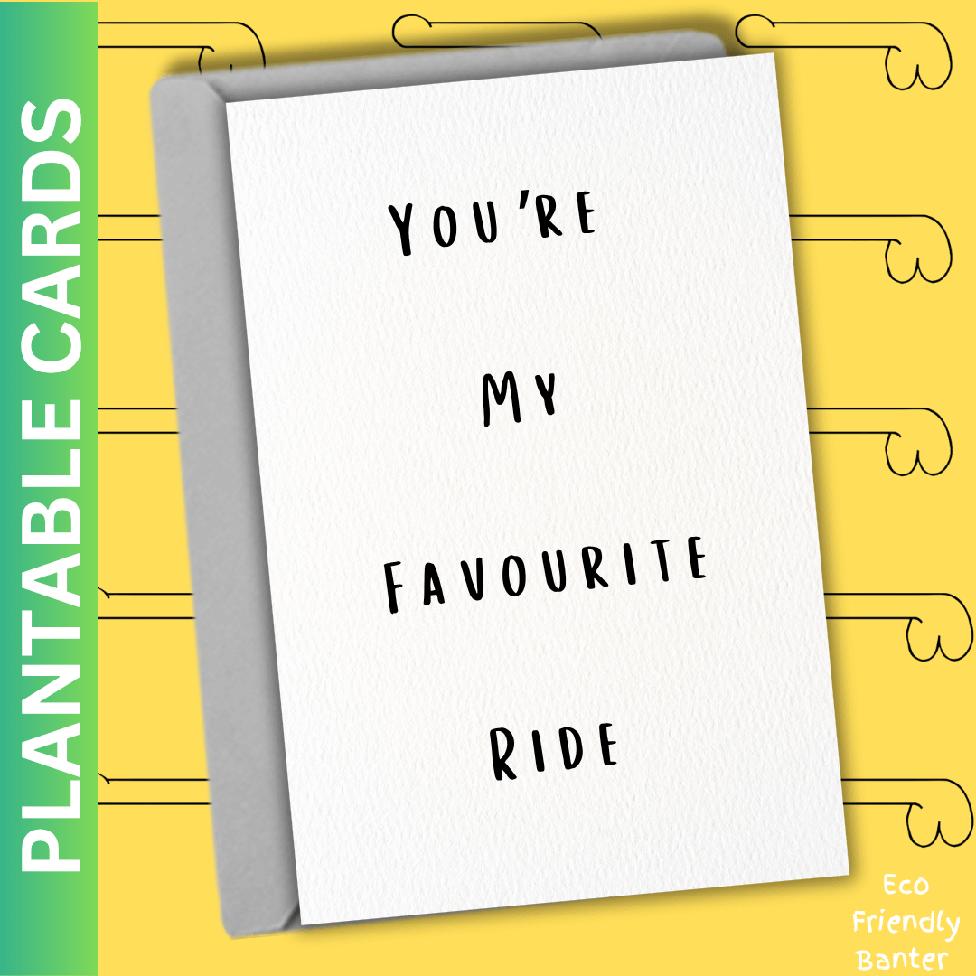 You’re  My  Favourite  Ride